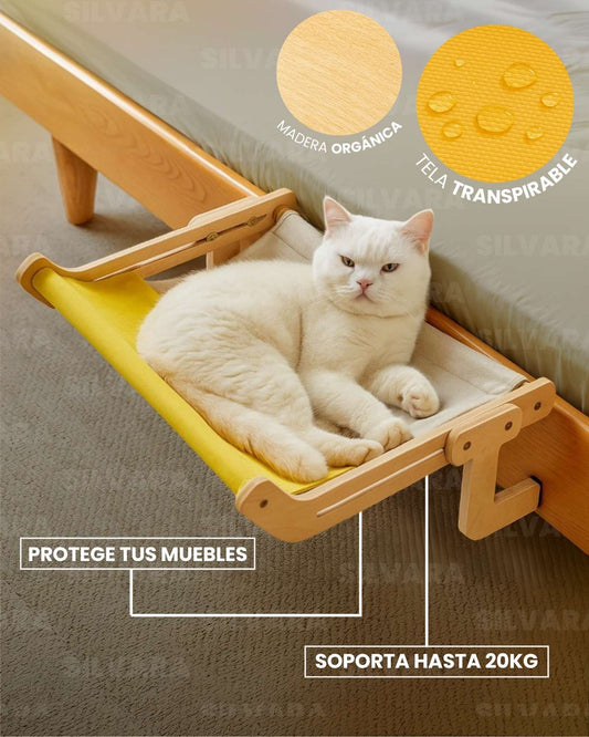 SUNNYCAT